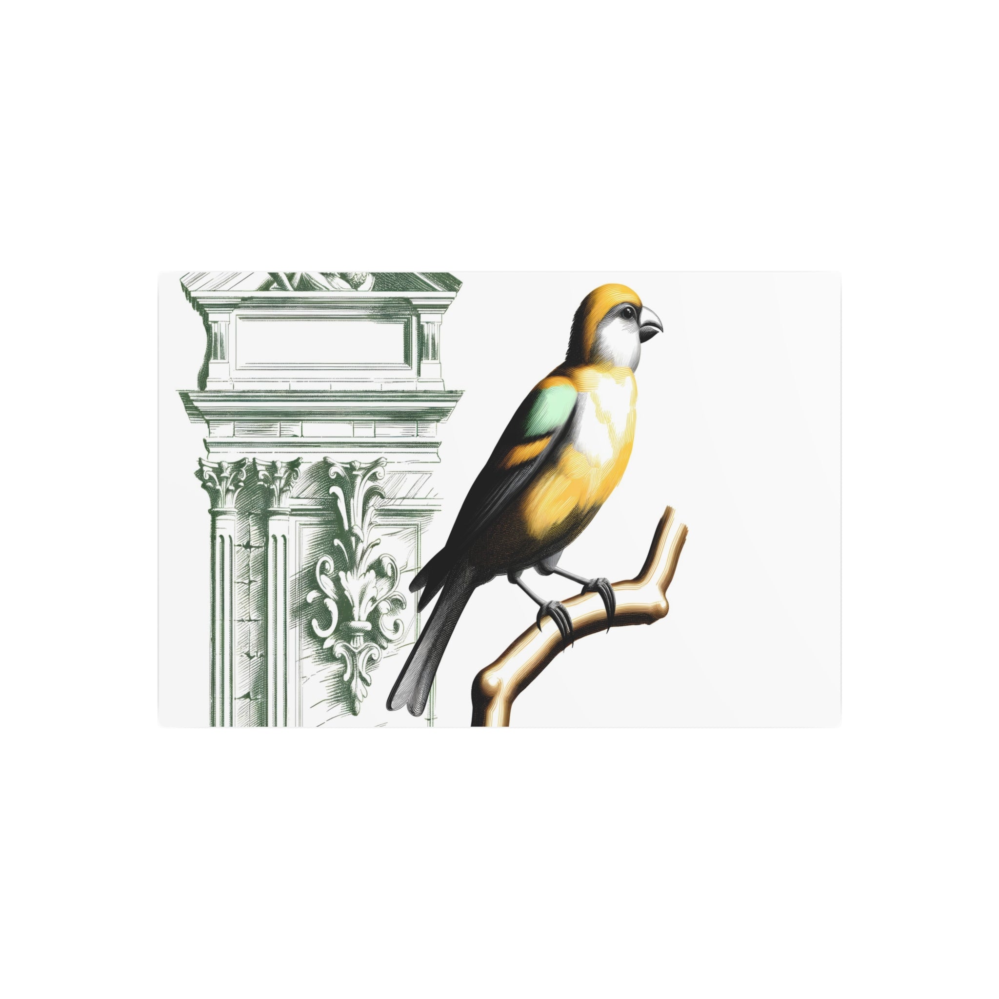 Metal Poster Art | "Neoclassical Style Western Art: Detailed Bird on Branch Scene with Architectural Elements and Dramatic Use of Light, Color, and Contrast" - Metal Poster Art 30″ x 20″ (Horizontal) 0.12''